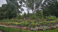 St. James´s Park &ndash; &copy; Marlies Thrum (Eberhardt TRAVEL)