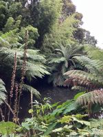 England, Lost Gardens of Heligan &ndash; &copy; Sabine C. Seifert (Eberhardt TRAVEL)