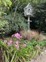 England, Lost Gardens of Heligan &ndash; &copy; Sabine C. Seifert (Eberhardt TRAVEL)