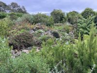 England, Lost Gardens of Heligan &ndash; &copy; Sabine C. Seifert (Eberhardt TRAVEL)