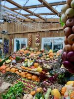 England, Lost Gardens of Heligan, Herbststimmung &ndash; &copy; Sabine C. Seifert (Eberhardt TRAVEL)