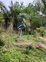 England, Cornwall, Tremenheere Sculpture Garden, Kunst im Garten &ndash; &copy; Sabine C. Seifert (Eberhardt TRAVEL)