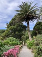 England, Scilly Inseln, Abteigarten Tresco Insel &ndash; &copy; Sabine C. Seifert (Eberhardt TRAVEL)