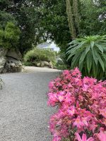 England, Scilly Inseln, Abteigarten Tresco Insel &ndash; &copy; Sabine C. Seifert (Eberhardt TRAVEL)