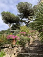 England, Scilly Inseln, Abteigarten Tresco Insel &ndash; &copy; Sabine C. Seifert (Eberhardt TRAVEL)