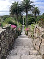 England, Scilly Inseln, Abteigarten Tresco Insel &ndash; &copy; Sabine C. Seifert (Eberhardt TRAVEL)