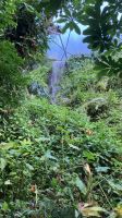 England, Eden Projekt, im Regenwald unterwegs Zum Wasserfall &ndash; &copy; Sabine C. Seifert (Eberhardt TRAVEL)
