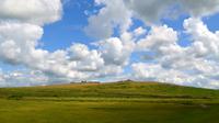 081 Dartmoor