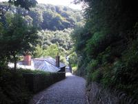 Clovelly &ndash; &copy; Norbert Binder (Eberhardt TRAVEL)
