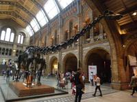 Natural History Museum &ndash; &copy; Constanze Hölig (Eberhardt TRAVEL)