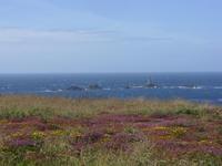 Tag 7 - 2 Land's End (5) &ndash; &copy; Sabine Heitzer (Eberhardt TRAVEL)