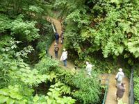 Tag 4 - 3 Isle of Wight - Shanklin Chine (3) &ndash; &copy; Sabine Heitzer (Eberhardt TRAVEL)