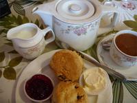 Tag 5 - 4 Killerton House and Gardens (9) &ndash; &copy; Sabine Heitzer (Eberhardt TRAVEL)