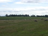 Tag 5 - 1 Stonehenge ... mitten im Nirgendwo(1) &ndash; &copy; Sabine Heitzer (Eberhardt TRAVEL)