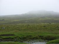 Tag 6 - 1 Dartmoor (9) &ndash; &copy; Sabine Heitzer (Eberhardt TRAVEL)