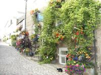 Tag 7 - 3 St. Ives (9) &ndash; &copy; Sabine Heitzer (Eberhardt TRAVEL)