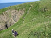 Pembrokshire Coast NP &ndash; &copy; Ralf Kuchenbecker (Eberhardt TRAVEL)