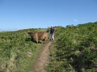 Pembrokshire Coast NP &ndash; &copy; Ralf Kuchenbecker (Eberhardt TRAVEL)