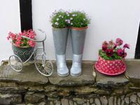 Clovelly - Blumenschmuck  &ndash; &copy; Claudia Bernhardt (Eberhardt TRAVEL)