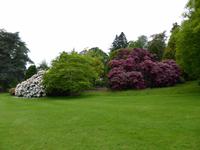 Killerton House - Parkanlage &ndash; &copy; Claudia Bernhardt (Eberhardt TRAVEL)