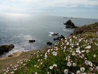 Land´s End  &ndash; &copy; Claudia Bernhardt (Eberhardt TRAVEL)