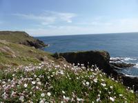Land´s End  &ndash; &copy; Claudia Bernhardt (Eberhardt TRAVEL)
