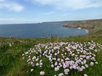 Land´s End Küste &ndash; &copy; Claudia Bernhardt (Eberhardt TRAVEL)