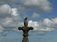 St. Michaels Mount ...den Vogel &ndash; &copy; Claudia Bernhardt (Eberhardt TRAVEL)