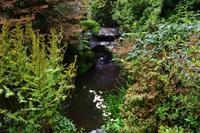 293 Wales, Bodnant Garden &ndash; &copy; Konrad Füssel (Eberhardt TRAVEL)