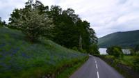 454 Glen Tay, Loch Tay &ndash; &copy; Konrad Füssel (Eberhardt TRAVEL)