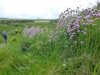 Pembrokeshire Coast Path &ndash; &copy; Ralf Kuchenbecker (Eberhardt TRAVEL)