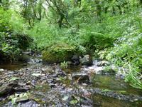 Pembrokeshire Coast Path &ndash; &copy; Ralf Kuchenbecker (Eberhardt TRAVEL)