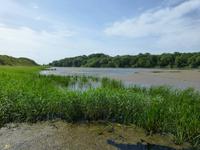 Stackpole Head &ndash; &copy; Ralf Kuchenbecker (Eberhardt TRAVEL)