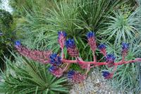 181 National Botanic Garden of Wales &ndash; &copy; Konrad Füssel (Eberhardt TRAVEL)