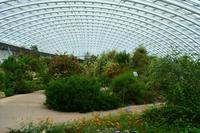 185 National Botanic Garden of Wales &ndash; &copy; Konrad Füssel (Eberhardt TRAVEL)