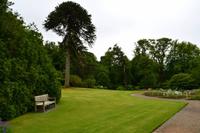 512 Skye, Dunvegan Castle Garden &ndash; &copy; Konrad Füssel (Eberhardt TRAVEL)
