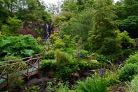 513 Skye, Dunvegan Castle Garden &ndash; &copy; Konrad Füssel (Eberhardt TRAVEL)