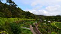540 Inverewe Garden &ndash; &copy; Konrad Füssel (Eberhardt TRAVEL)