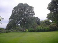 Killerton Garden &ndash; &copy; Norbert Binder (Eberhardt TRAVEL)