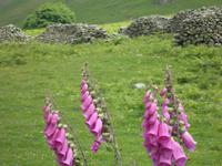 Kirkstone Pass &ndash; &copy; Constanze Hölig (Eberhardt TRAVEL)