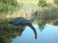 Nessie &ndash; &copy; Constanze Hölig (Eberhardt TRAVEL)