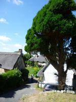 Godshill &ndash; &copy; Grit Wendelberger (Eberhardt TRAVEL)