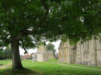 Glastonbury Abbey &ndash; &copy; Bernhard Rink (Eberhardt TRAVEL)