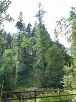 Dunkeld &ndash; &copy; Ralf Kuchenbecker (Eberhardt TRAVEL)