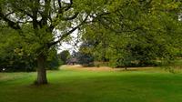 141 Killerton House & Garden