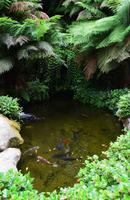 211 Cornwall, Trebah Garden &ndash; &copy; Konrad Füssel (Eberhardt TRAVEL)