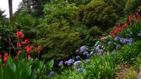 216 Cornwall, Trebah Garden &ndash; &copy; Konrad Füssel (Eberhardt TRAVEL)