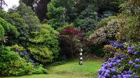 219 Cornwall, Trebah Garden &ndash; &copy; Konrad Füssel (Eberhardt TRAVEL)