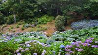 222 Cornwall, Trebah Garden &ndash; &copy; Konrad Füssel (Eberhardt TRAVEL)