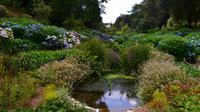224 Cornwall, Trebah Garden &ndash; &copy; Konrad Füssel (Eberhardt TRAVEL)